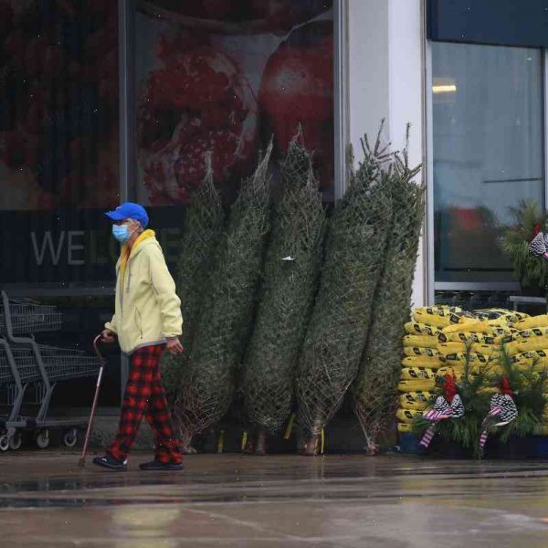 Millions of Christmas trees, cans and other goods in holdup at West Coast ports