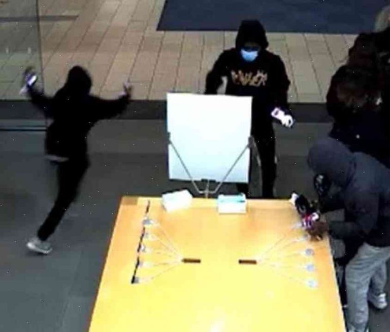 Apple store hit by thieves in Los Angeles