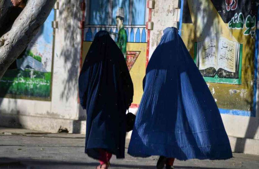 Report: More Than 40 Women Banned From Wearing Bikinis in Afghanistan TV Shows